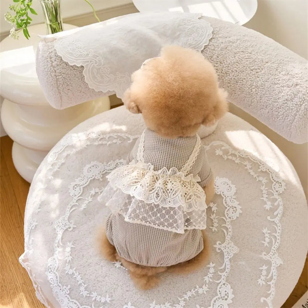Pet Supplies Lace Camisole Pet Spring Summer Jumpsuit Waffle Lace Soft Dog Pajamas Breathable Pet Four Legged Coat Puppy