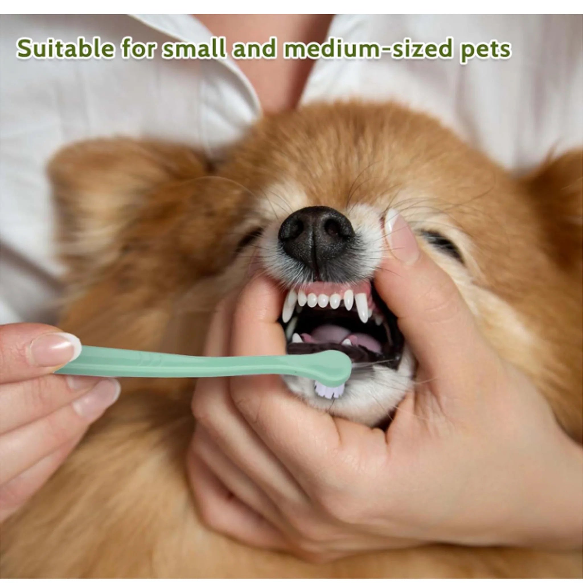 Pet Toothbrush for Cats Dogs Soft Small Head Teeth Cleaning Brush for Puppy Kitten Dental Care Dog Toothbrush