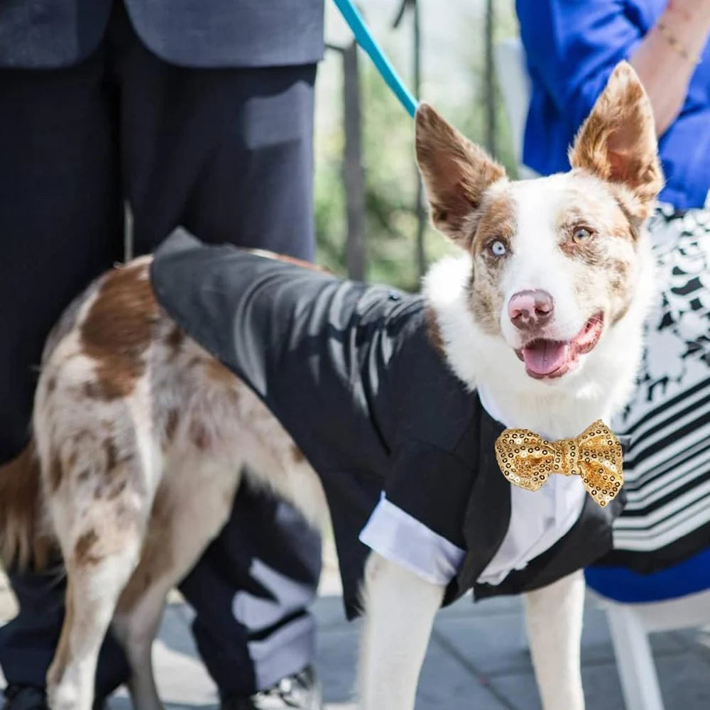 Pet Shirt Small Dog Clothes Wedding Formal Suit With Bow Tie Costume