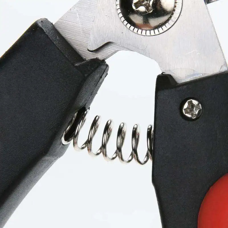 Pet Nail Clippers Pet Dog Cat Grooming Nail Scissors Stainless Steel Straight Handle Clippers Pet Supplies