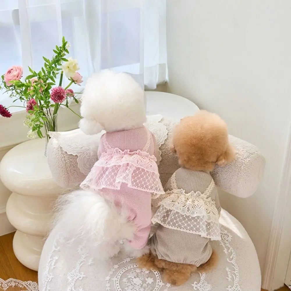 Pet Supplies Lace Camisole Pet Spring Summer Jumpsuit Waffle Lace Soft Dog Pajamas Breathable Pet Four Legged Coat Puppy