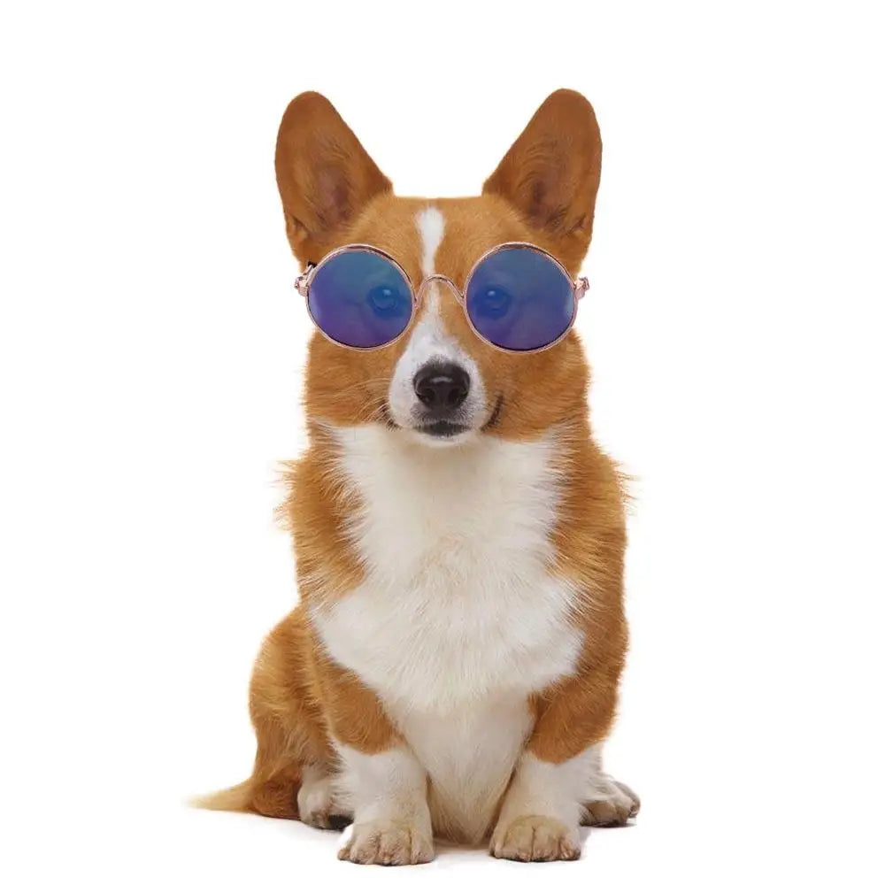 Fashion Funny Decoration Lovely For Small Dog Cat Reflection Photos Props Pet Glasses Sunglasses Eye Wear