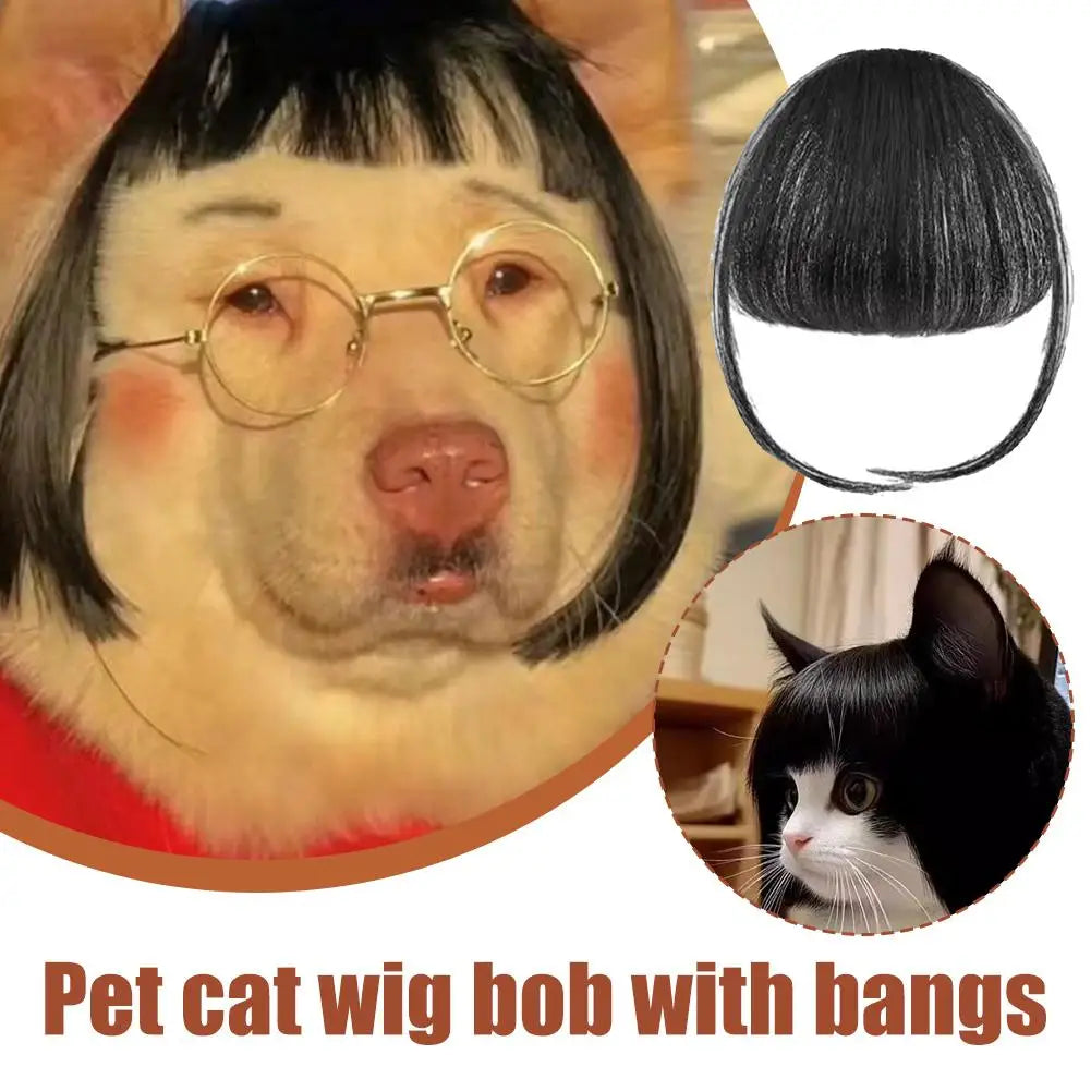 Cat Wig Accessories Dog Headdress Funny Costume Puppy Cosplay Dress Up Funny Pet Wig Cosplay Costume for Cats Dogs 2026 New