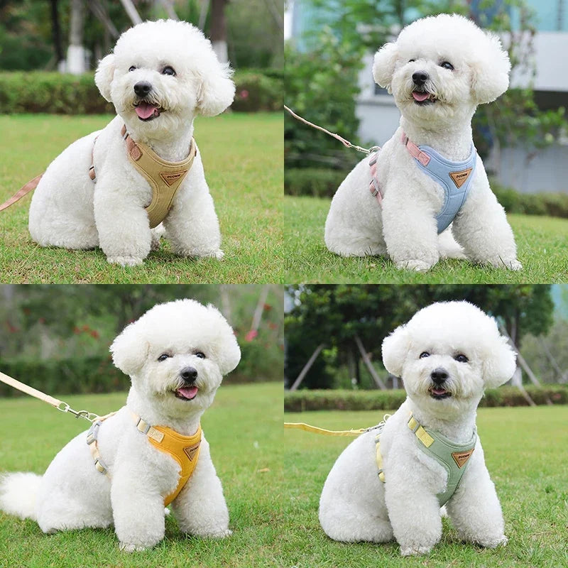 Cat Puppy Outdoor Walking Supplies Fashion Pet Harness and Leash Set for Small Dogs Cats Breathable Durable Kitten Harnesses