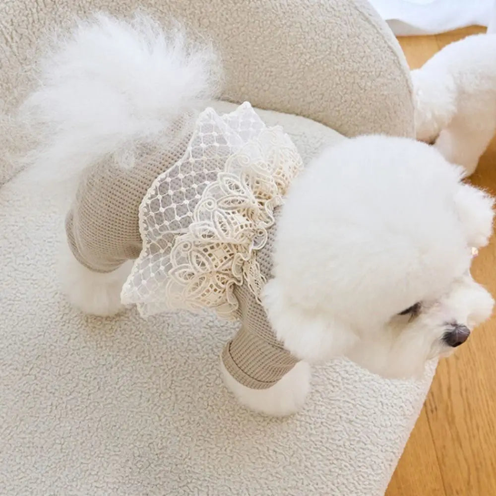 Pet Supplies Lace Camisole Pet Spring Summer Jumpsuit Waffle Lace Soft Dog Pajamas Breathable Pet Four Legged Coat Puppy