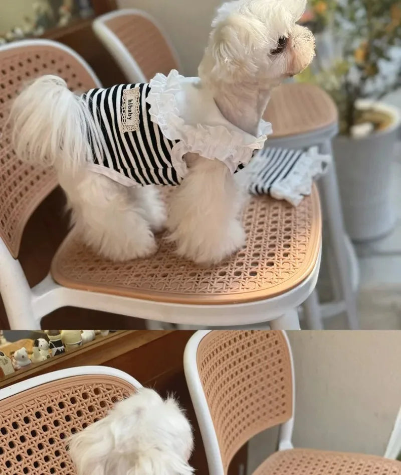 Pet Summer Clothes Pet Couple Striped Shirt Pet Tank Top Dog Cat Universal Knitted Teddy Shirt Puppy Clothing Dog Cooling Vest