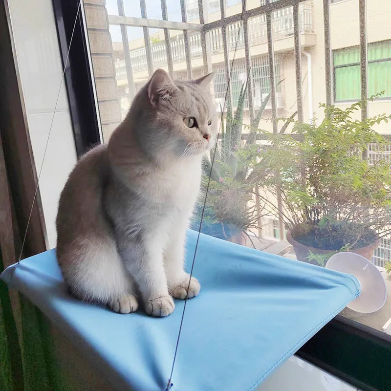 Upgraded New Pet Cat Hammock Hanging Cat Bed Bearing 20 Kg Comfortable Sunny Window Seat Kitten Rock Climbing Frame Pet Supplies