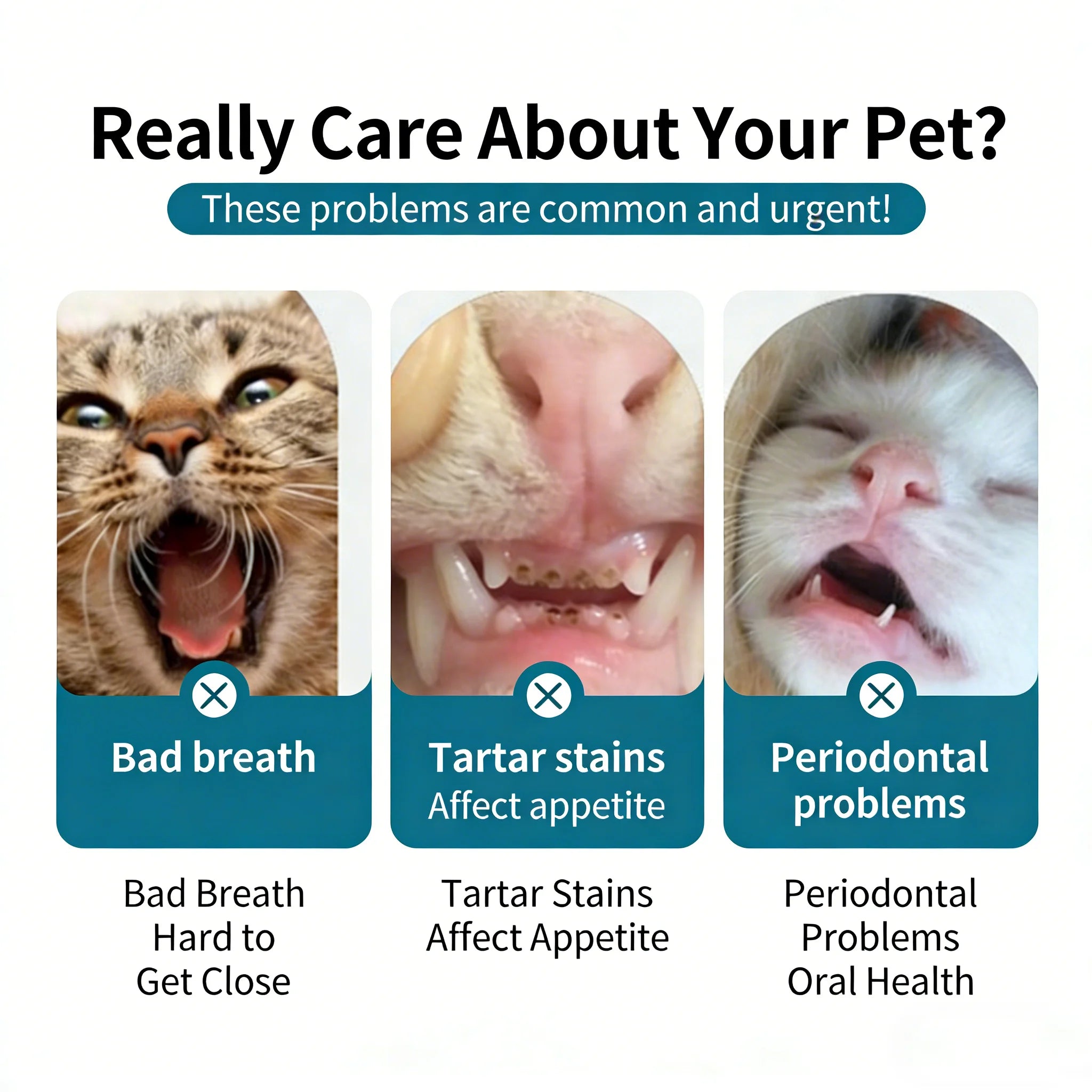 Pet Toothbrush for Cats Dogs Soft Small Head Teeth Cleaning Brush for Puppy Kitten Dental Care Dog Toothbrush