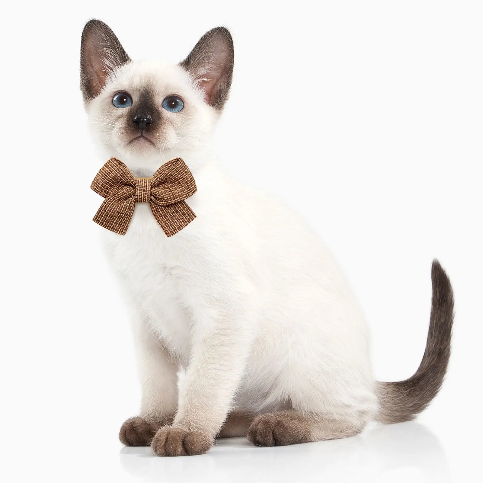 New pet bow tie solid color fashion pet bow tie accessories for cats and dogs.