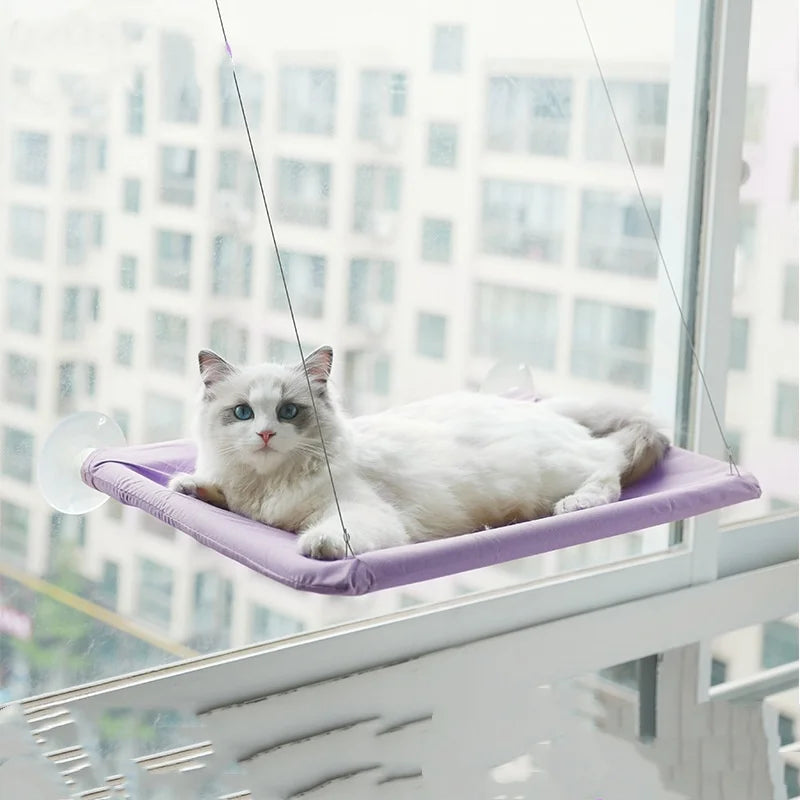 Upgraded New Pet Cat Hammock Hanging Cat Bed Bearing 20 Kg Comfortable Sunny Window Seat Kitten Rock Climbing Frame Pet Supplies