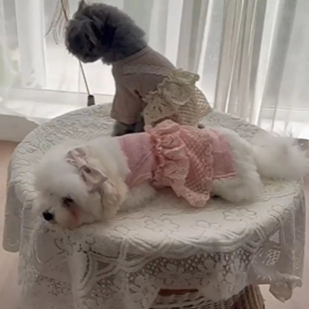 Pet Supplies Lace Camisole Pet Spring Summer Jumpsuit Waffle Lace Soft Dog Pajamas Breathable Pet Four Legged Coat Puppy