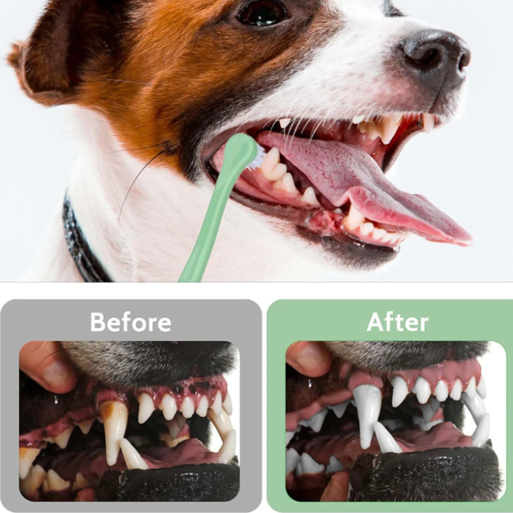 Pet Toothbrush for Cats Dogs Soft Small Head Teeth Cleaning Brush for Puppy Kitten Dental Care Dog Toothbrush