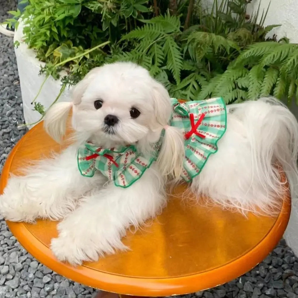 Pet Dog Clothes Polyester Fiber Pet Love Shirt Skirt INS Style Cute Dog Plaid Shirt Skirt Green Pet Plaid Dress for Small Dog