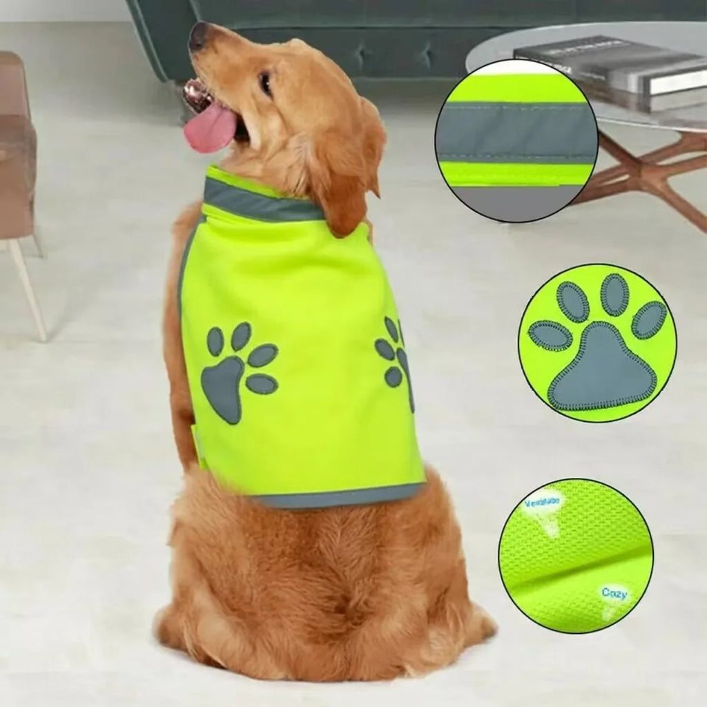 Cats' Clothes Floral Shirt Spring and Summer Lightweight Anti-static Plush Cat Gold Gradient Blue Pet Small Dog Clothing