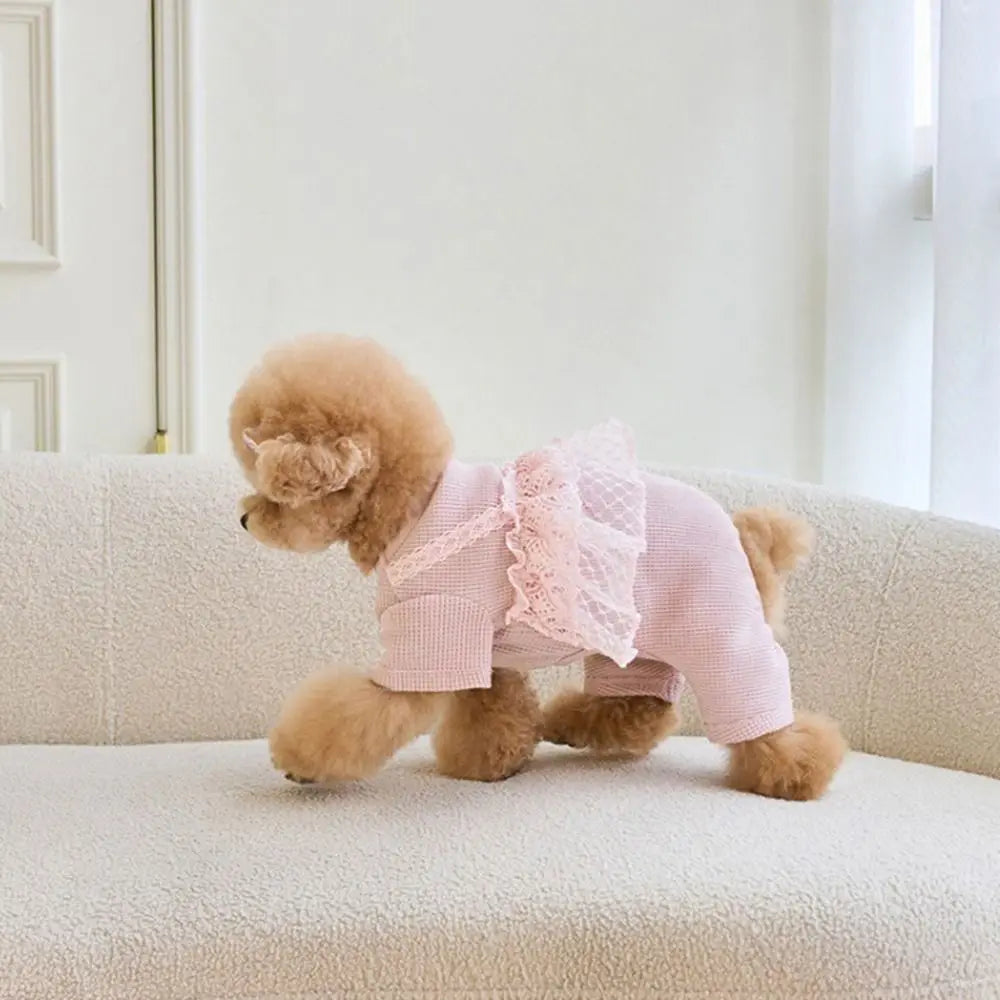 Pet Supplies Lace Camisole Pet Spring Summer Jumpsuit Waffle Lace Soft Dog Pajamas Breathable Pet Four Legged Coat Puppy