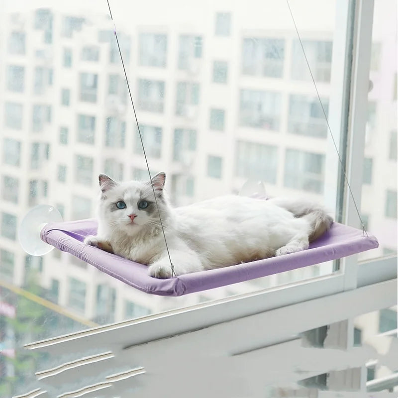Upgraded New Pet Cat Hammock Hanging Cat Bed Bearing 20 Kg Comfortable Sunny Window Seat Kitten Rock Climbing Frame Pet Supplies