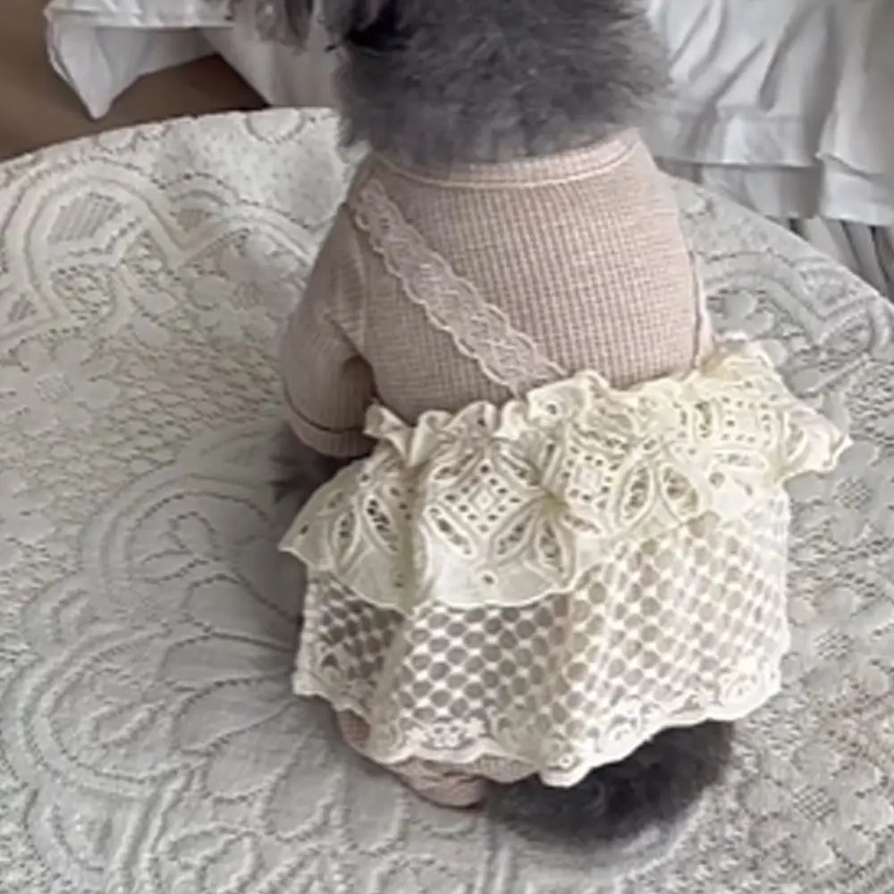 Pet Supplies Lace Camisole Pet Spring Summer Jumpsuit Waffle Lace Soft Dog Pajamas Breathable Pet Four Legged Coat Puppy