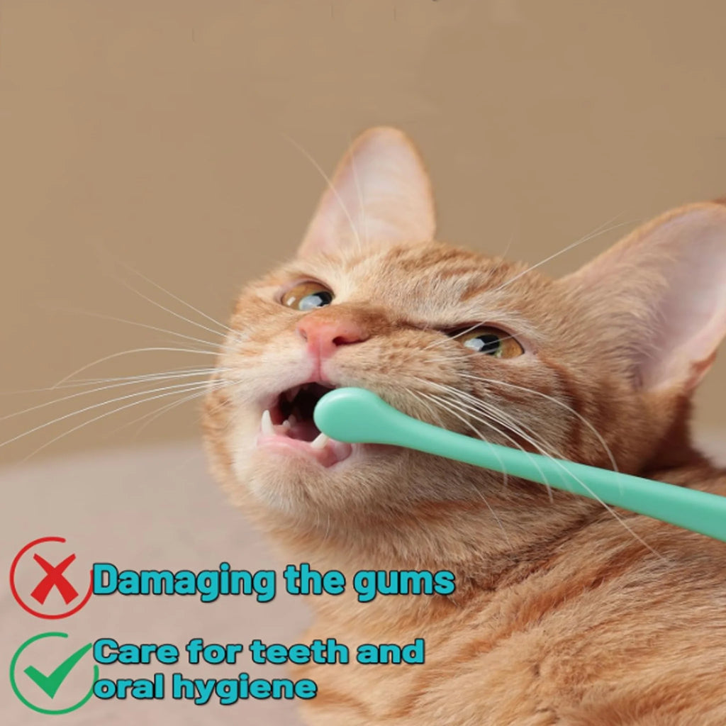 Pet Toothbrush for Cats Dogs Soft Small Head Teeth Cleaning Brush for Puppy Kitten Dental Care Dog Toothbrush