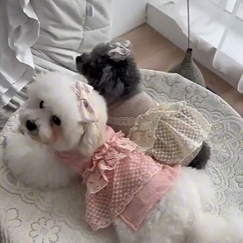 Pet Supplies Lace Camisole Pet Spring Summer Jumpsuit Waffle Lace Soft Dog Pajamas Breathable Pet Four Legged Coat Puppy