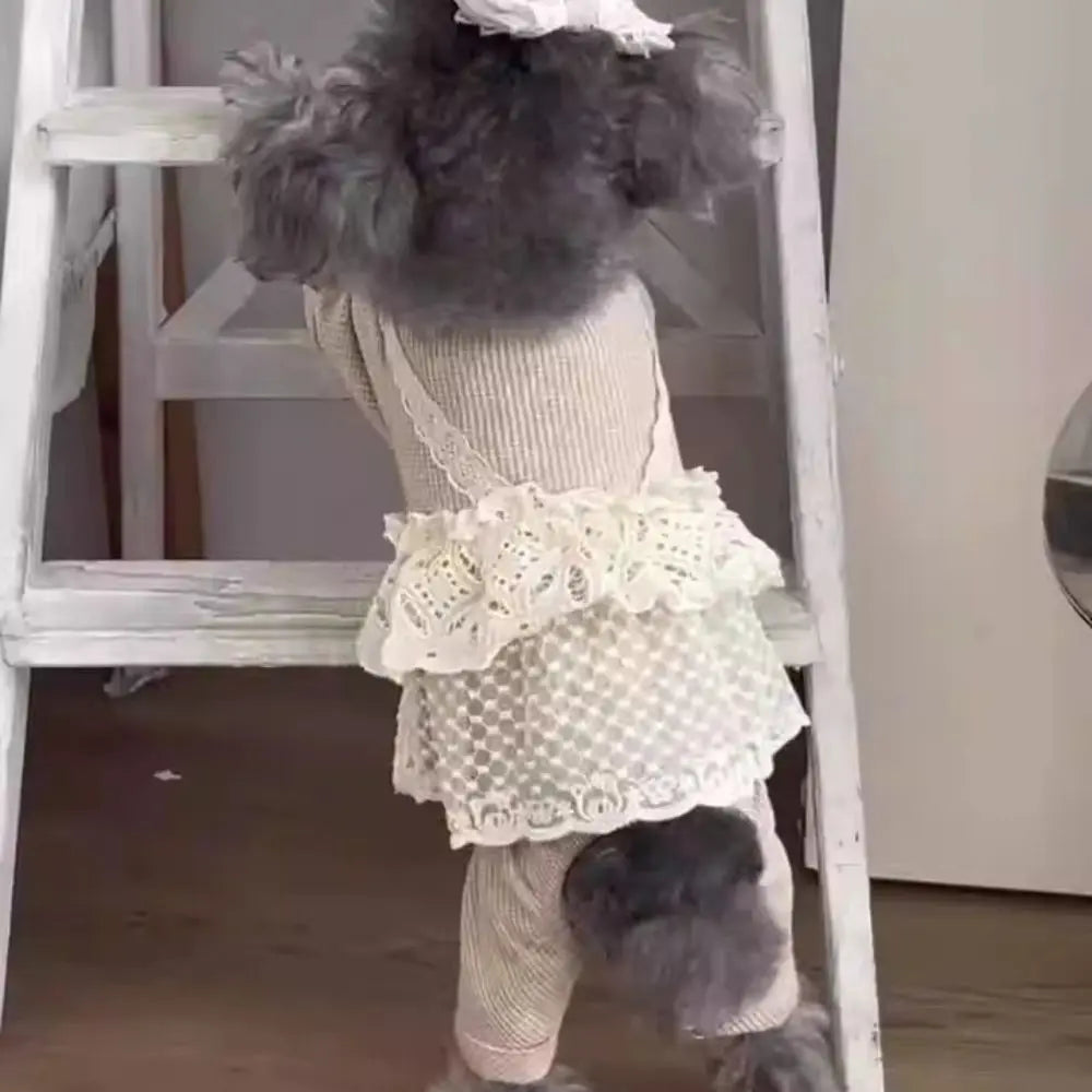 Pet Supplies Lace Camisole Pet Spring Summer Jumpsuit Waffle Lace Soft Dog Pajamas Breathable Pet Four Legged Coat Puppy