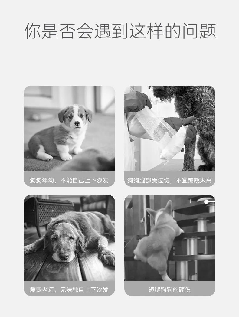 Pet Stairs Dog Bedding Steps Climbing Slopes Small Elderly Dog Ladder Bedside Sofa Puppy for Small Dogs